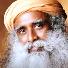 Sadhguru quotes wisdom life advice