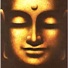 Buddha teachings quotes
