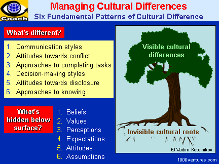 Culturall Differences, Cross-Cultural Challenges - 6 Fundamental Patterns of Cultural Differences