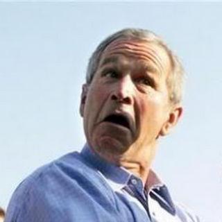 Funny George Bush Jr., stupid U.S. President, American Beauties jokes