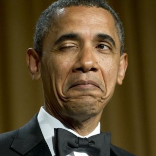 funny Barak Qbama, joke photo, U.S. President, American Beauties