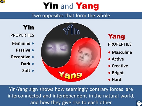 The Laws of the Universe Yin and Yang forces